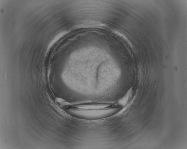 X0000071801114200607211640