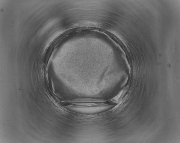 X0000071801115200607211640