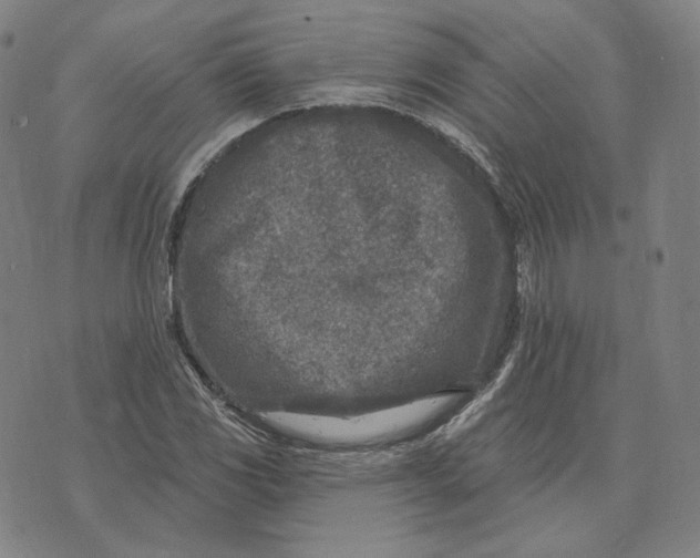 X0000071801117200607211640