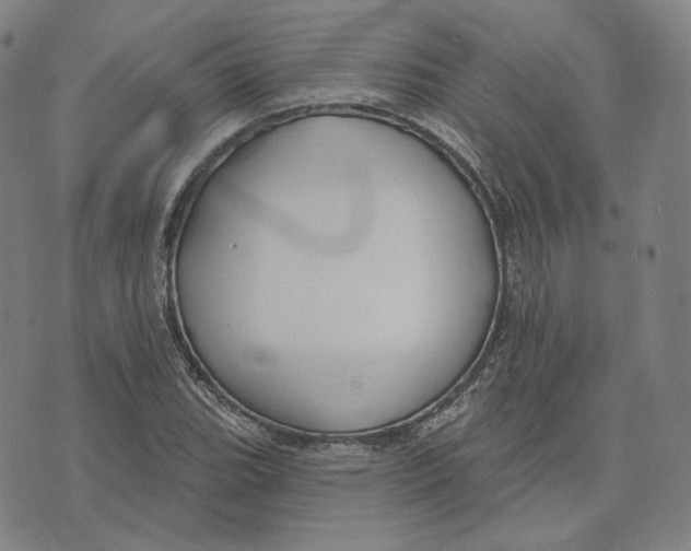 X0000071801119200607211640