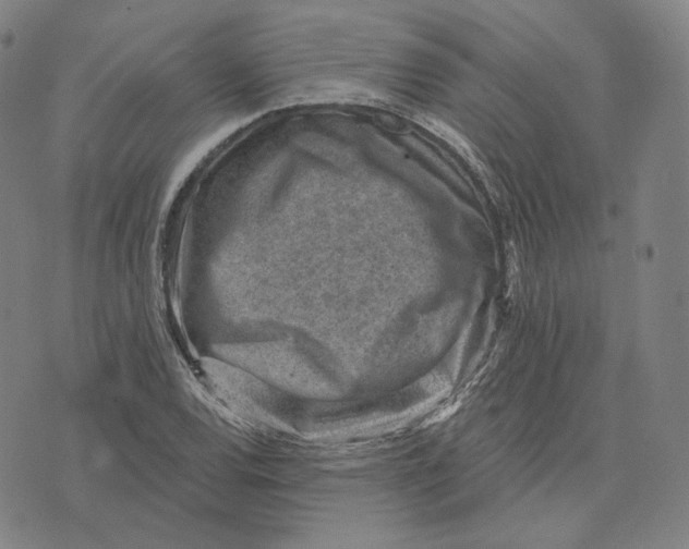 X0000071801120200607211640