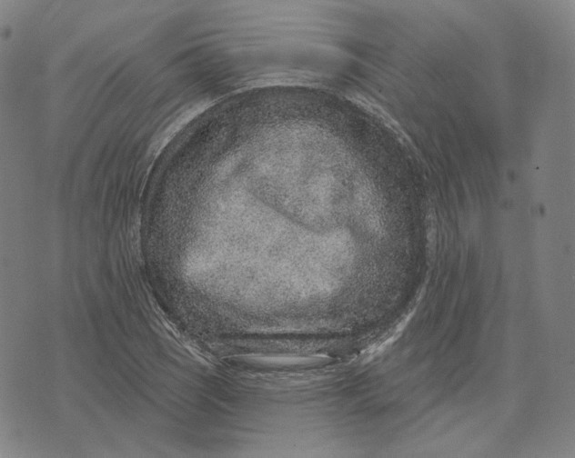 X0000071801121200607211640