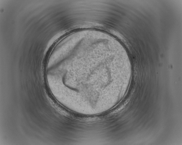 X0000071801122200607211640