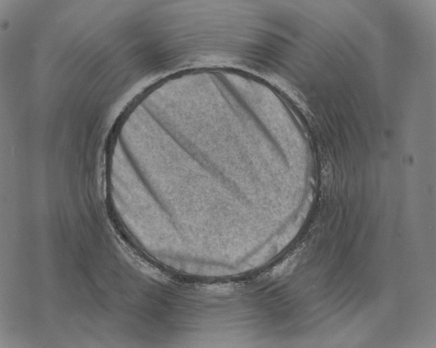 X0000071801126200607211640