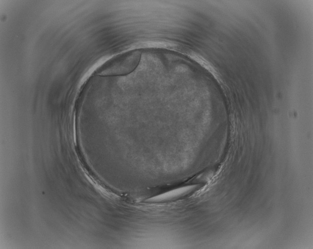 X0000071801127200607211640