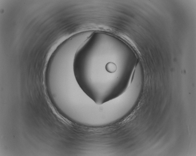 X0000071801128200607211640