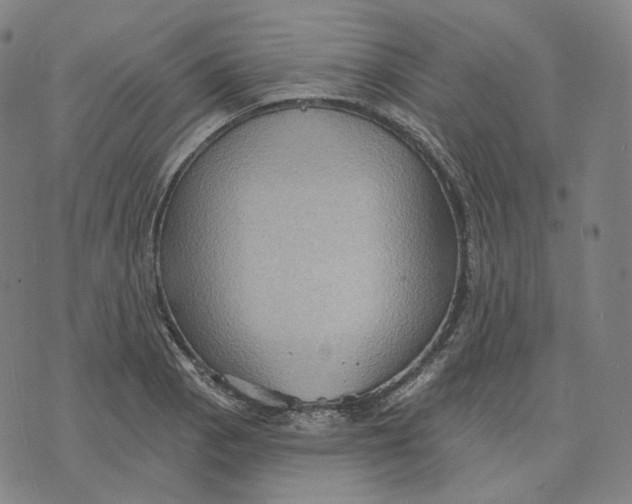 X0000071801129200607211640