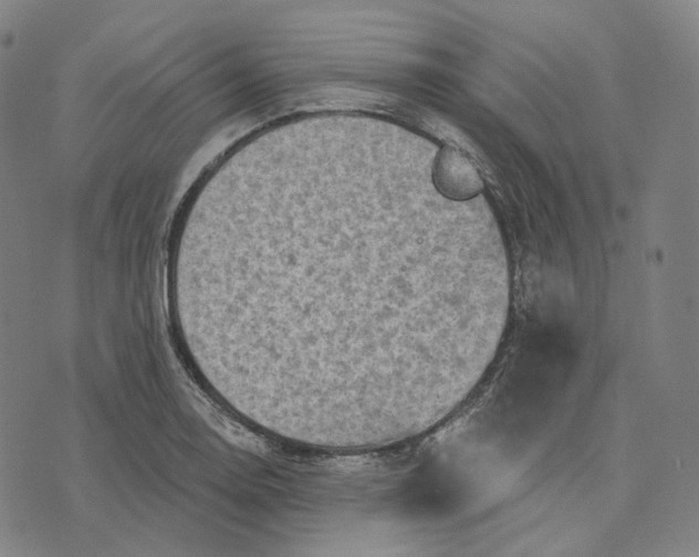 X0000071801130200607211640