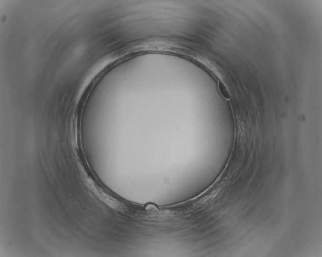 X0000071801131200607211640