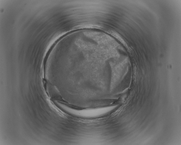 X0000071801132200607211640