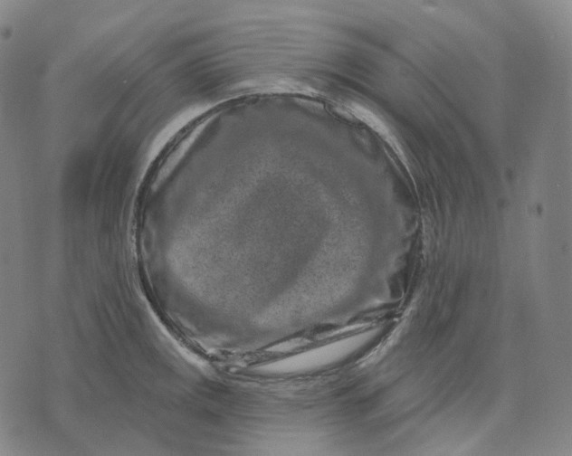 X0000071801141200607211640