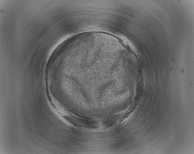 X0000071801142200607211640