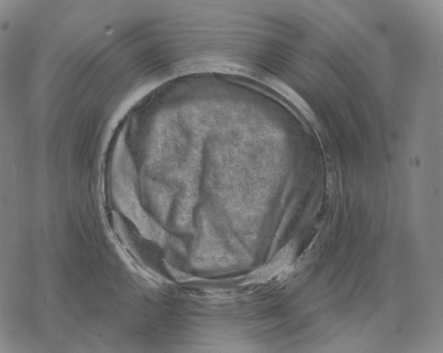 X0000071801144200607211640