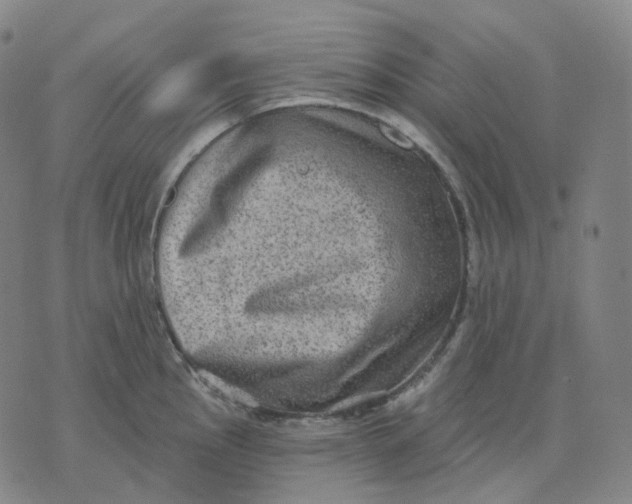 X0000071801145200607211640