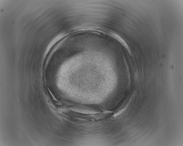 X0000071801146200607211640