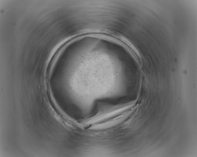 X0000071801148200607211640