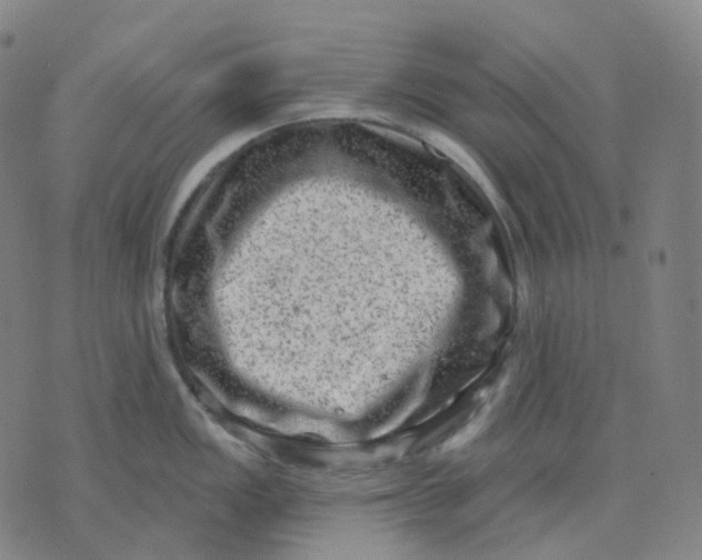 X0000071801149200607211640