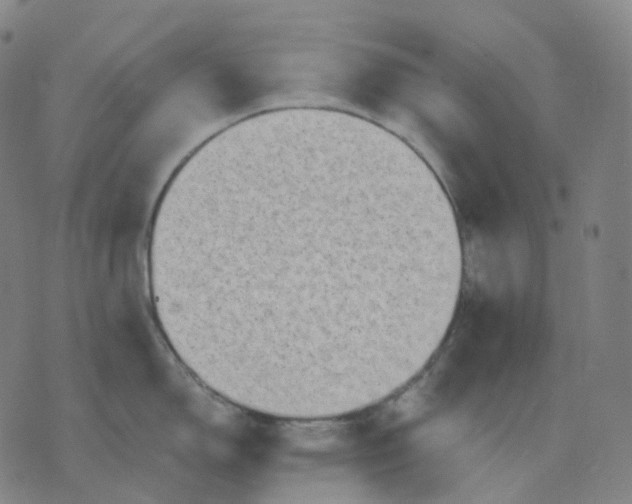 X0000071801150200607211640