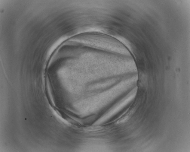 X0000071801151200607211640