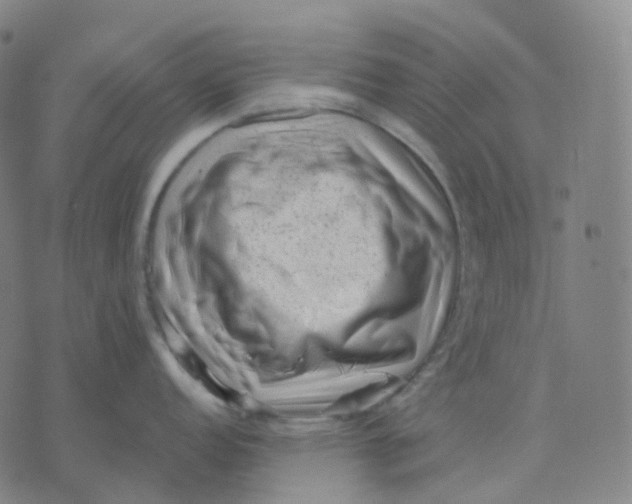 X0000071801152200607211640