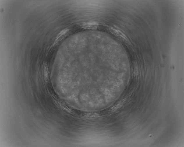 X0000071801154200607211640