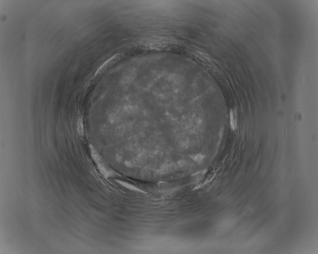 X0000071801155200607211640