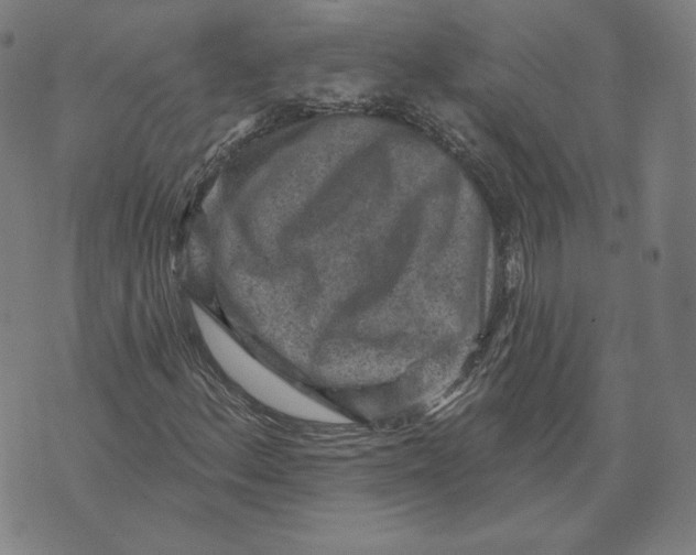 X0000071801156200607211640