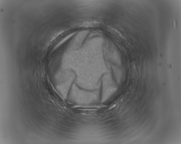 X0000071801158200607211640