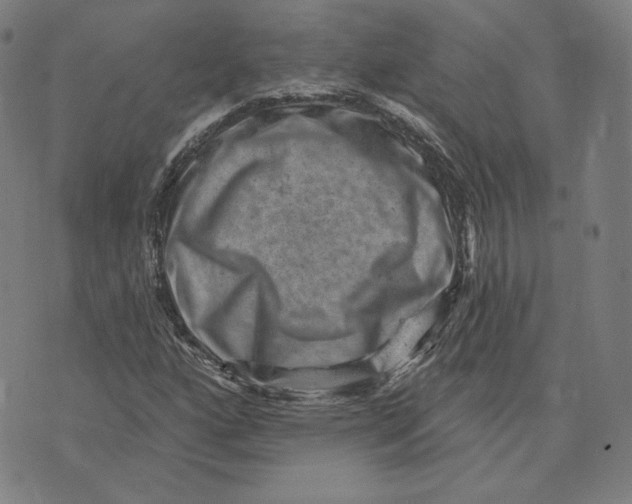 X0000071801160200607211640