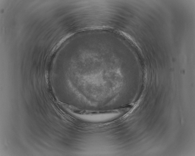 X0000071801161200607211640