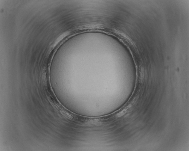 X0000071801162200607211640