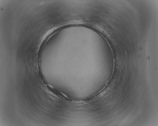 X0000071801168200607211639