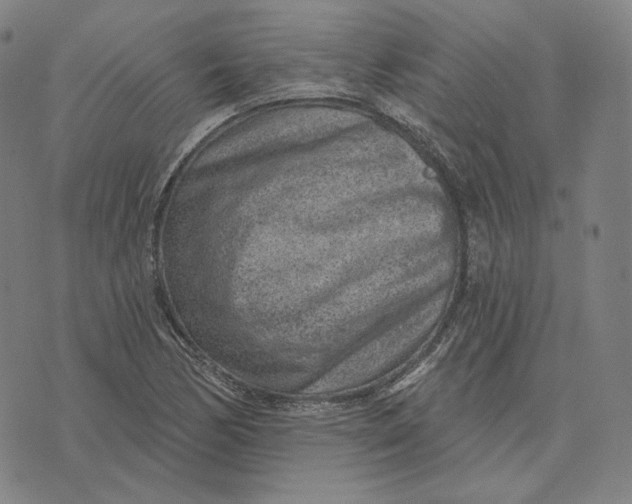 X0000071801170200607211639