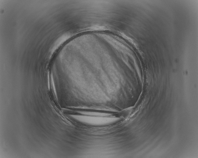 X0000071801171200607211639