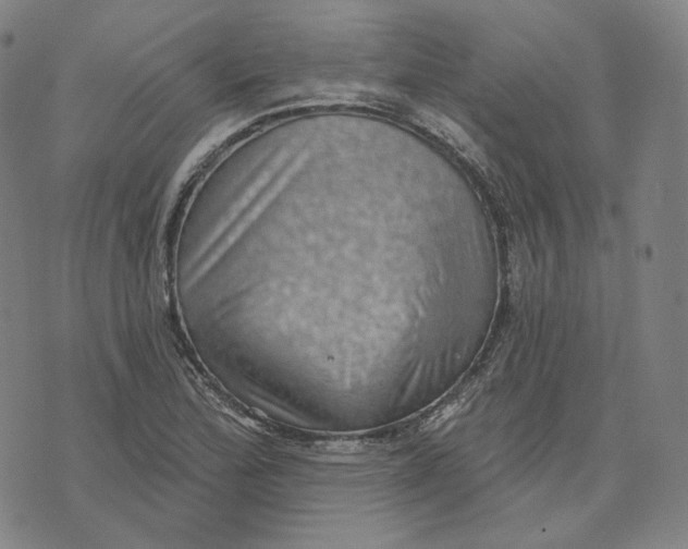 X0000071801172200607211639