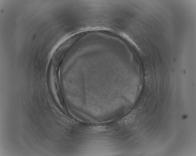 X0000071801173200607211639