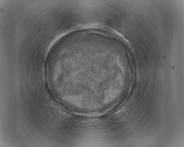 X0000071801174200607211639