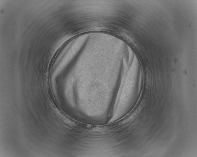 X0000071801178200607211639