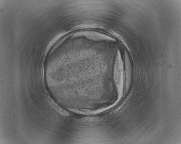 X0000071801179200607211639