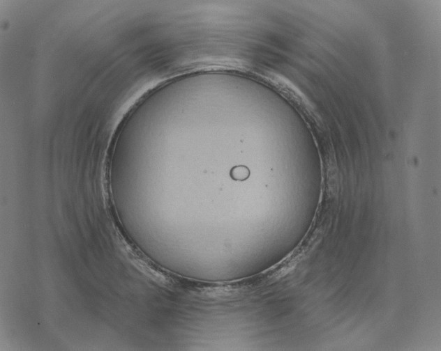 X0000071801182200607211639