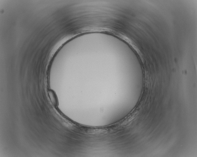 X0000071801187200607211639