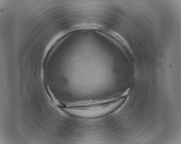 X0000071801188200607211639