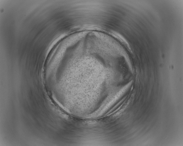 X0000071801190200607211639