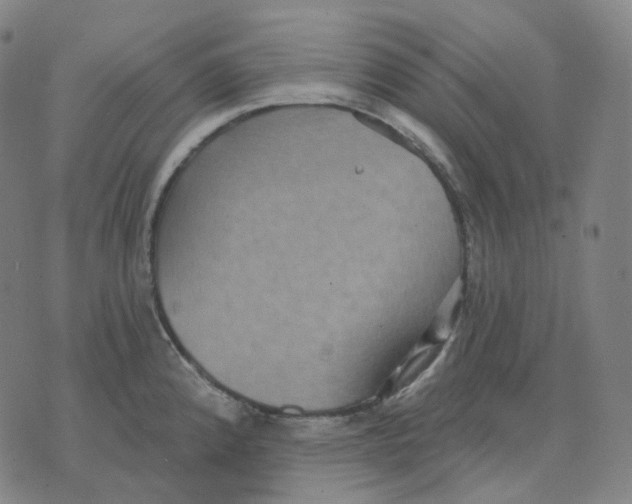 X0000071801192200607211639