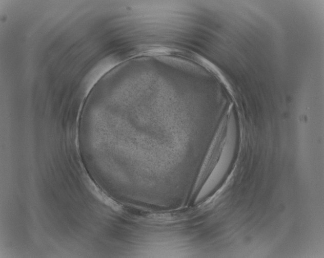 X0000071801194200607211639