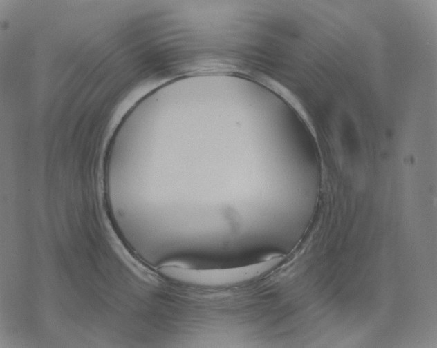 X0000071801195200607211639