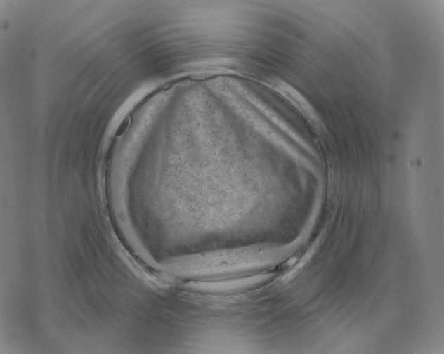 X0000071801196200607211639