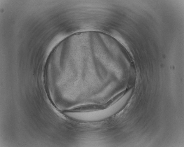 X0000071801197200607211639