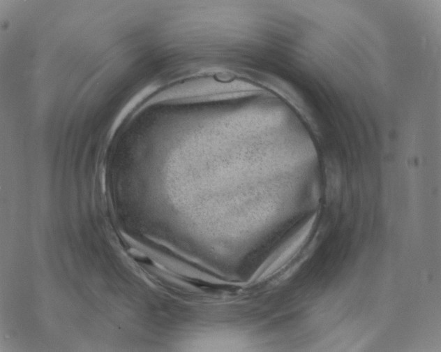 X0000071801198200607211639