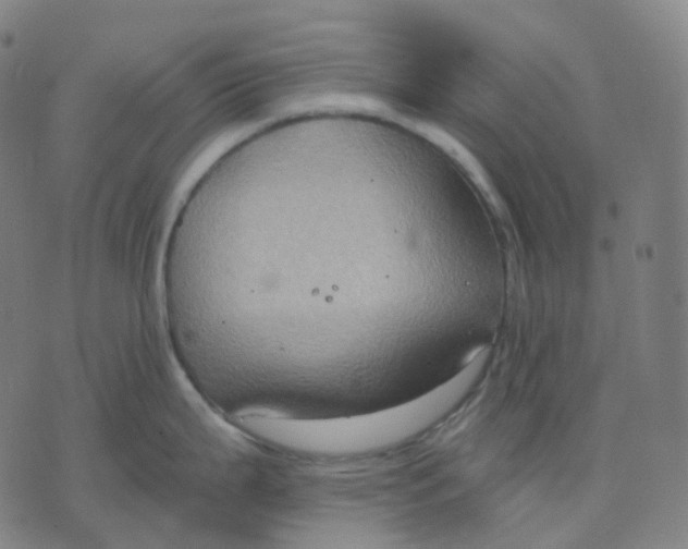 X0000071801199200607211639